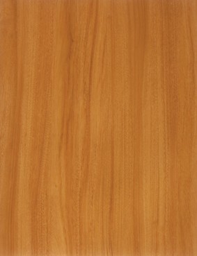 49197-101100 SHOGUN AC