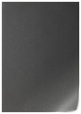 1293010-119500 EARL PLATIN