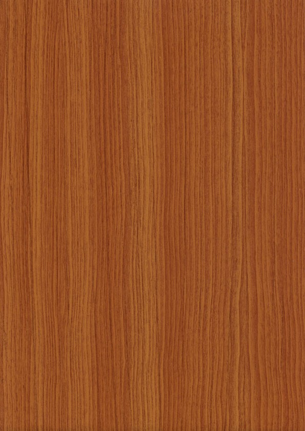 3152009-167 STREIFEN DOUGLASIE