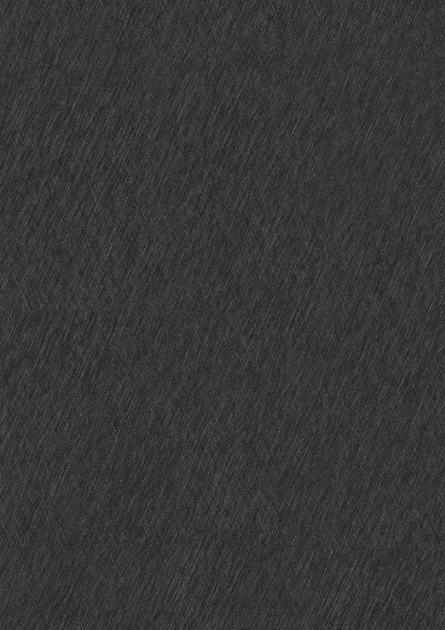 4361023 X BRUSH SCHWARZBRAUN