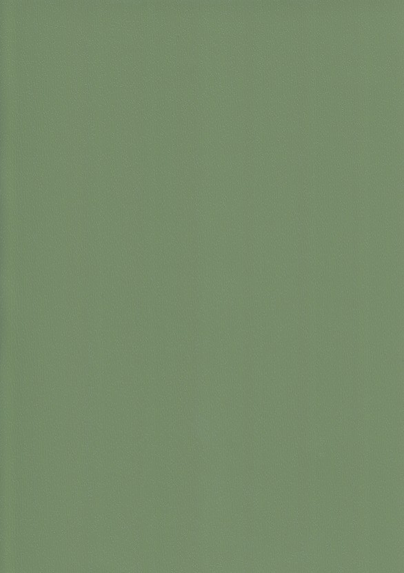 436 50 20 PASTEL GRUN